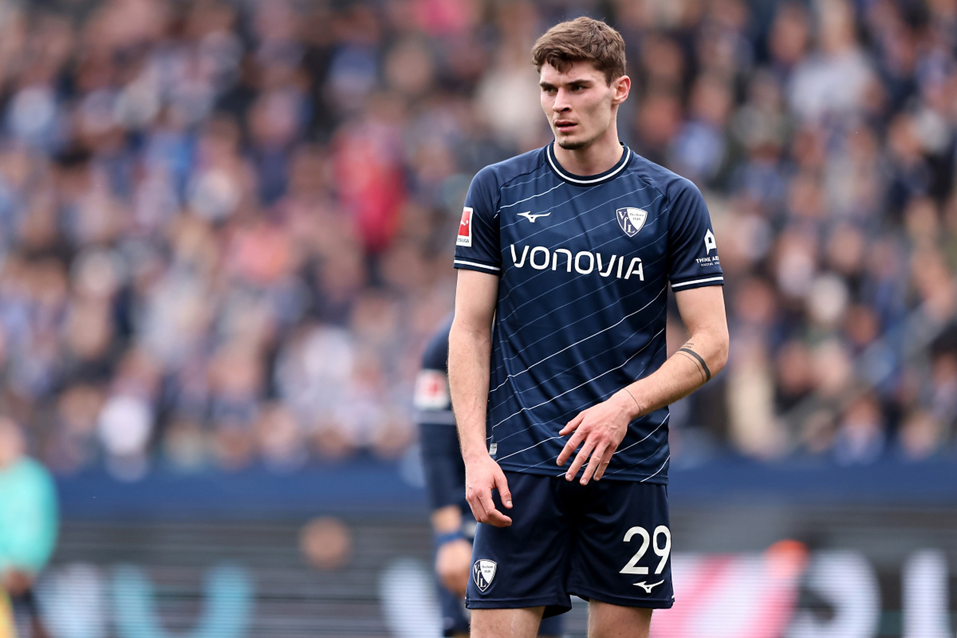 以降低观众 以降低观众